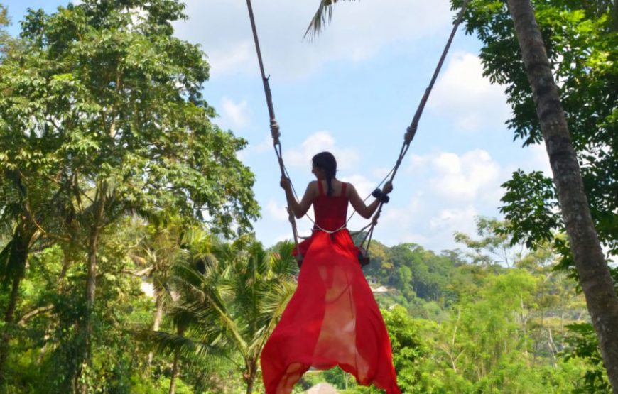 Le Kaja Rafting & Swing｜레카자 레프팅 & 스윙