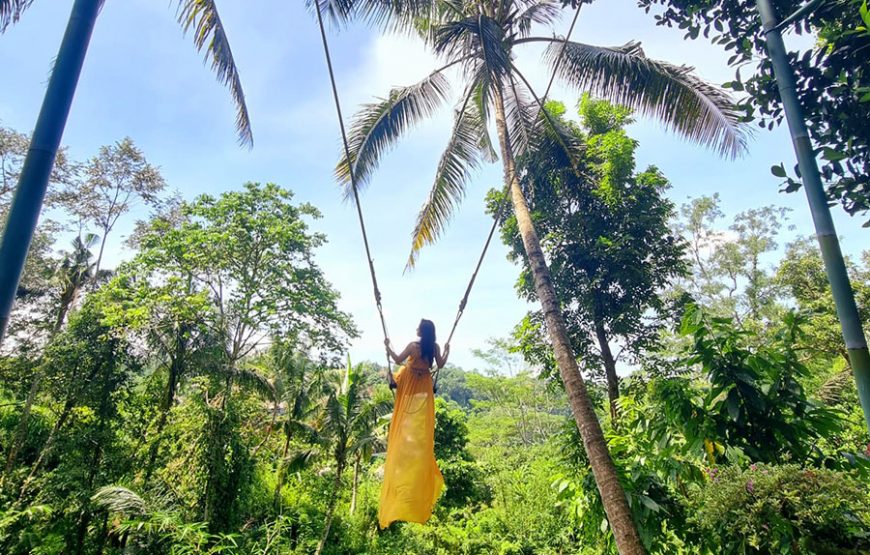 Le Kaja Rafting & Swing｜레카자 레프팅 & 스윙