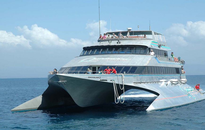 Quicksilver Cruise Bali｜데이크루즈 퀵실버