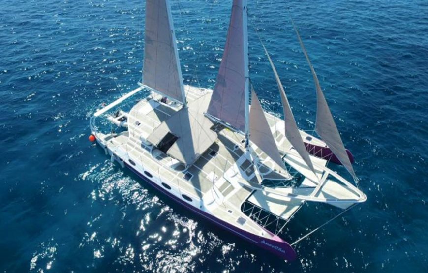 Aneecha Sailing Catamaran｜아네차 크루즈