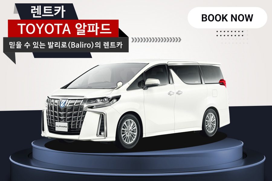 Toyota 알파드｜Vip차량 10시간