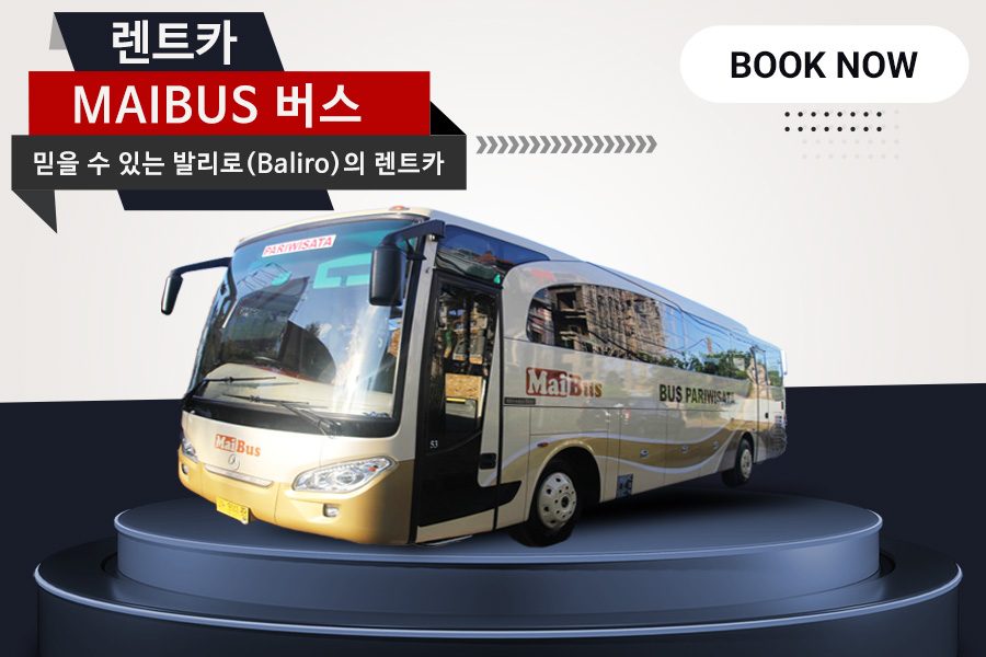 Maibus 버스｜25인승 33인승 45인승