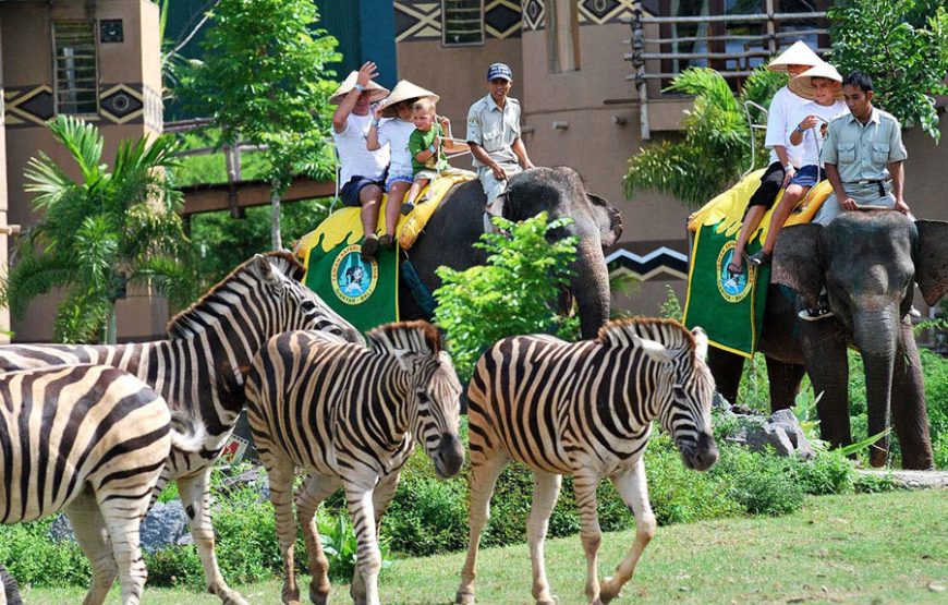 Bali Safari & Marine Park｜발리 사파리 & 마린파크