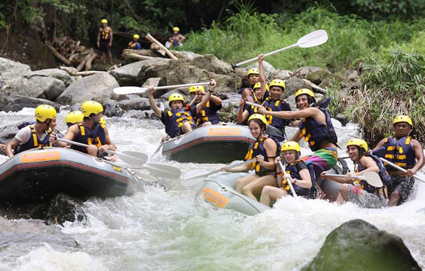 Sobek Ayung Rafting｜소백 아융강 래프팅