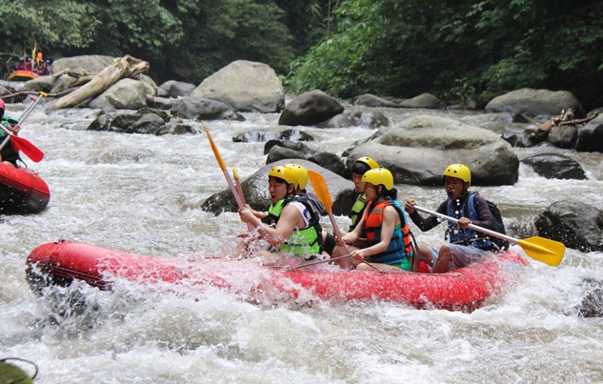 Le Kaja Rafting｜레카자 레프팅
