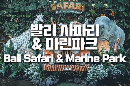 Bali Safari & Marine Park｜발리 사파리 & 마린파크