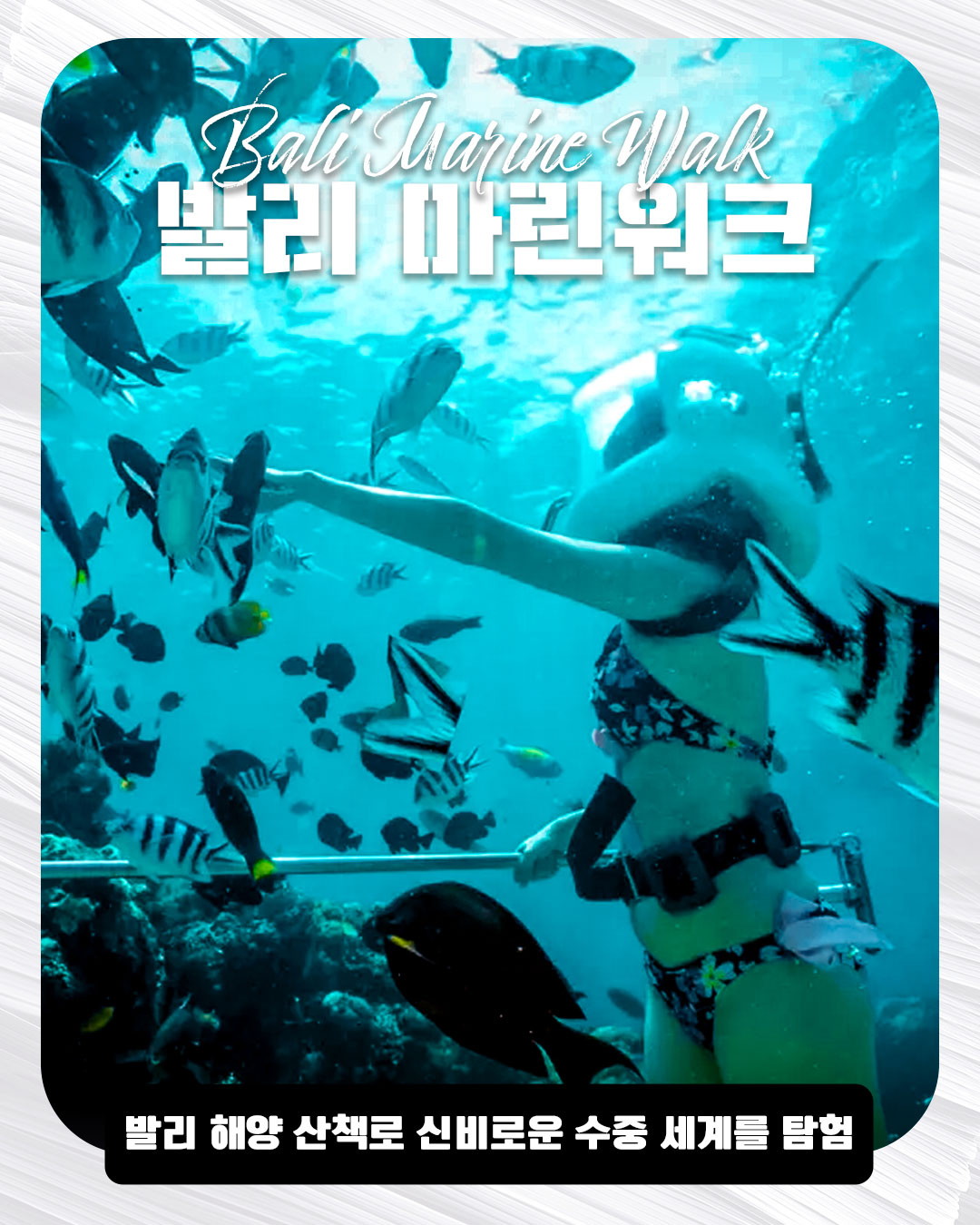 Bali Marine Walk｜발리 마린워크