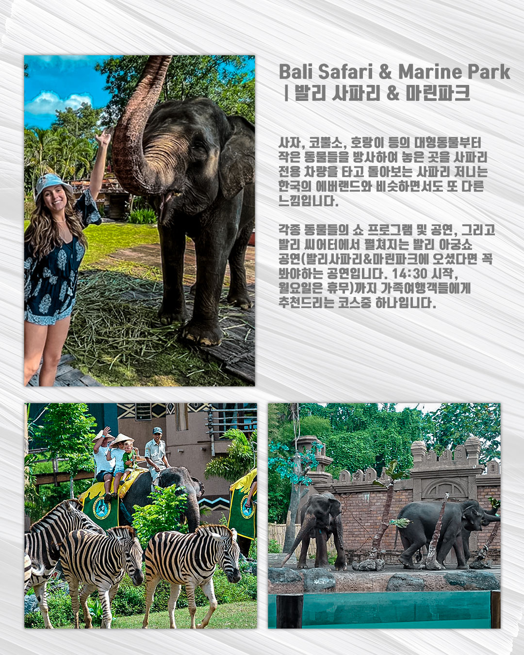 Bali Safari & Marine Park｜발리 사파리 & 마린파크