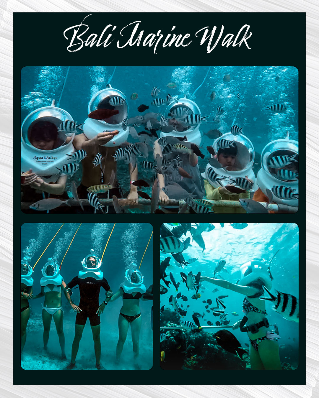 Bali Marine Walk｜발리 마린워크