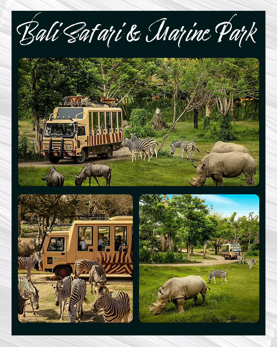 Bali Safari & Marine Park｜발리 사파리 & 마린파크