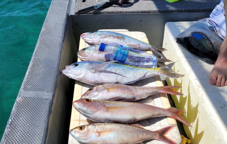 Fishing Tours Bali｜발리 낚시 투어