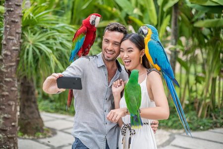 Bali Bird Park｜발리 새 공원