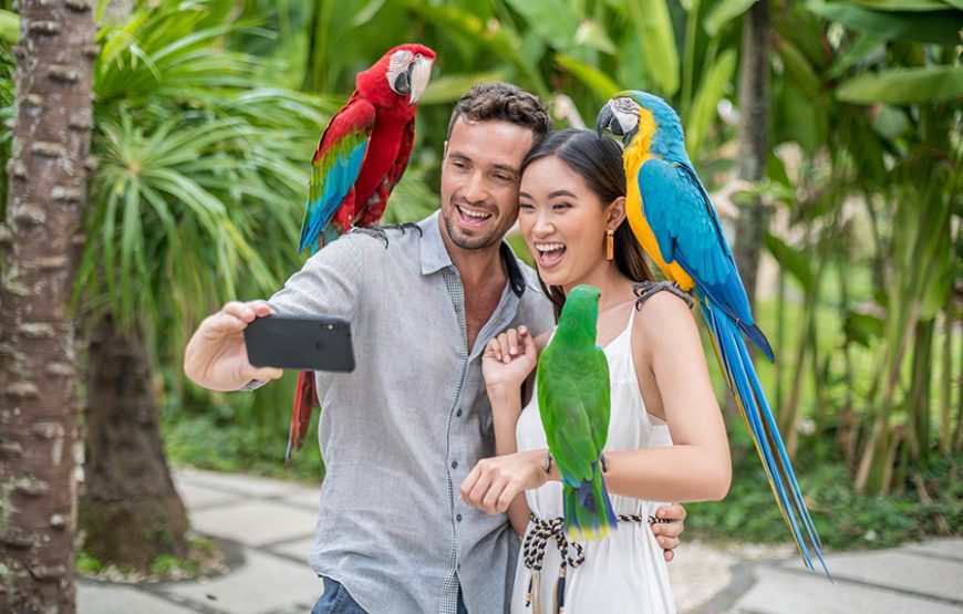 Bali Bird Park｜발리 새 공원