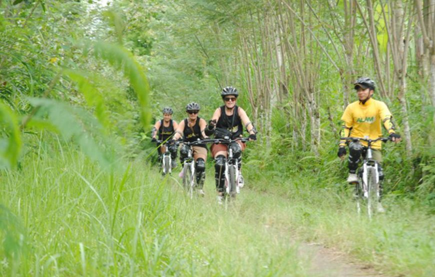 Kintamani Downhill Cycling Tour｜발리 낀따마니 사이클링 투어