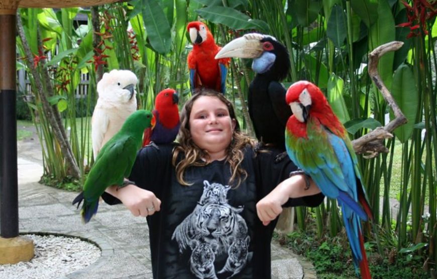 Bali Bird Park｜발리 새 공원