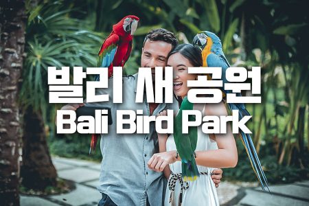 Bali Bird Park｜발리 새 공원