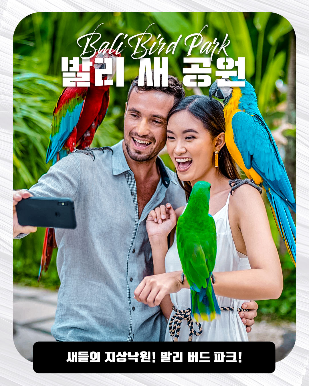 Bali Bird Park｜발리 새 공원