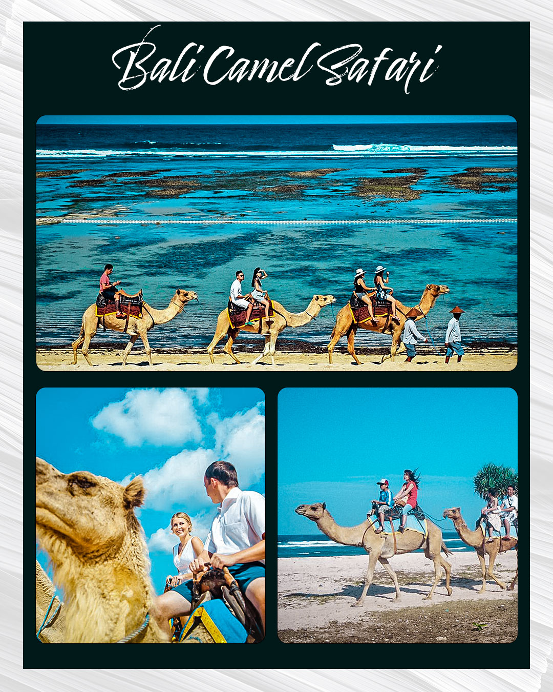 Bali Camel Safari｜발리 낙타 사파리