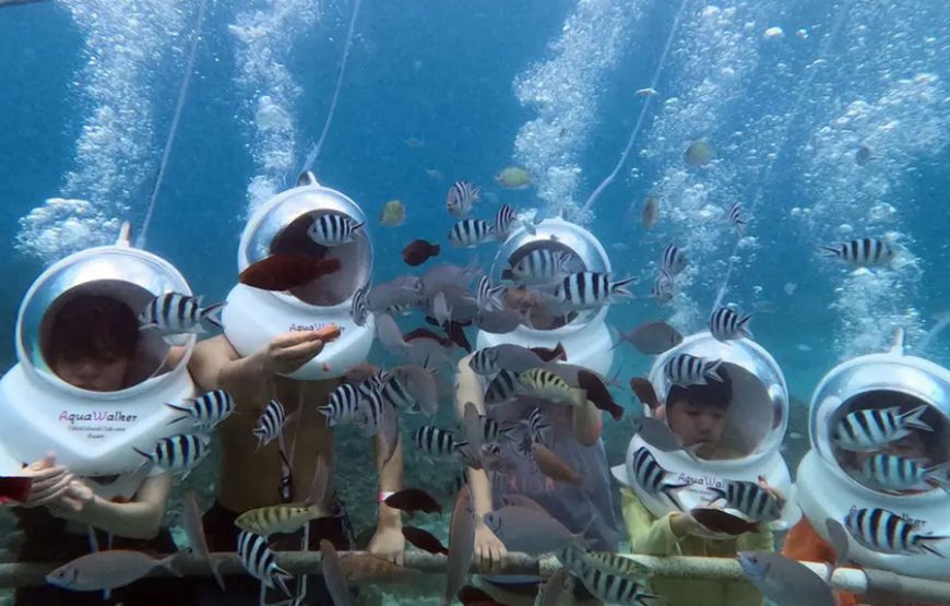 Bali Marine Walk｜발리 마린워크