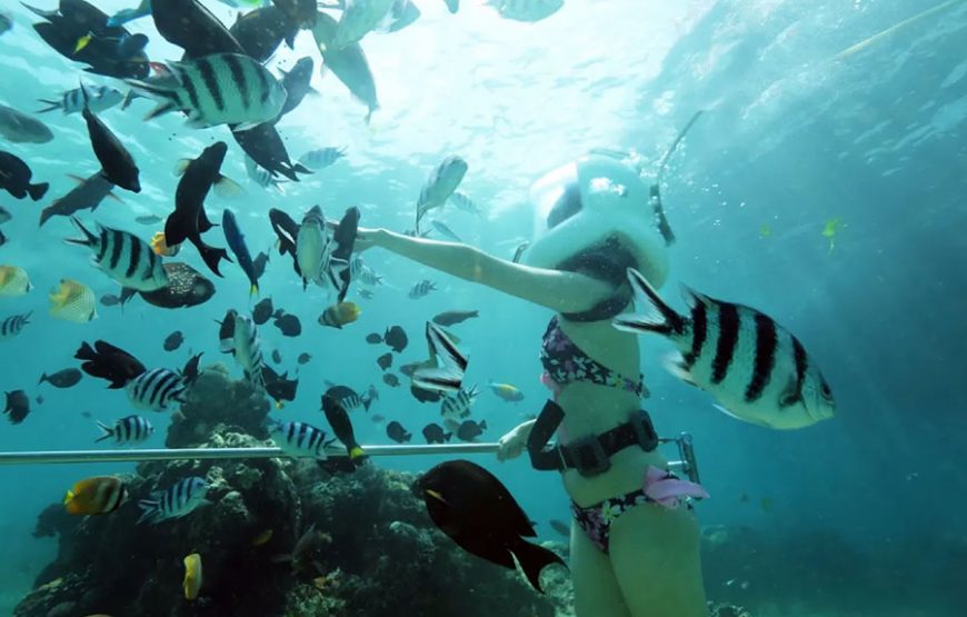 Bali Marine Walk｜발리 마린워크