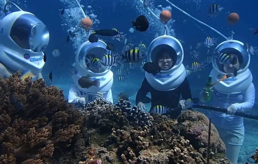 Bali Marine Walk｜발리 마린워크