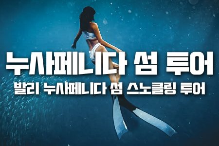 누사페니다 섬 투어｜발리 누사페니다 섬 스노클링 투어