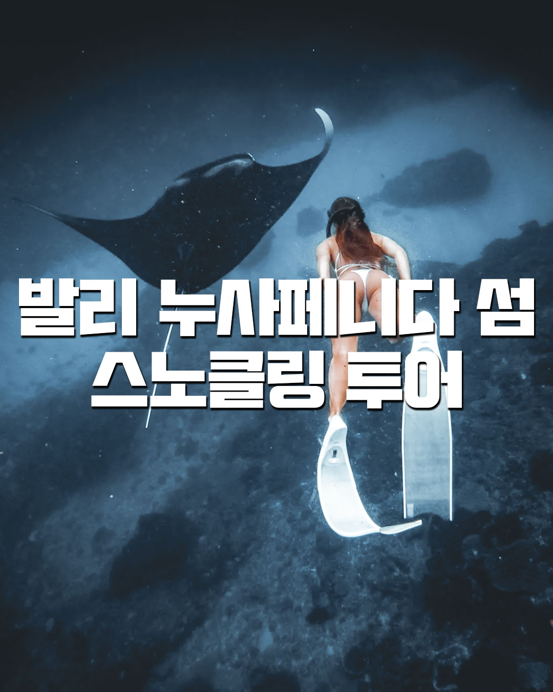 누사페니다 섬 투어｜발리 누사페니다 섬 스노클링 투어