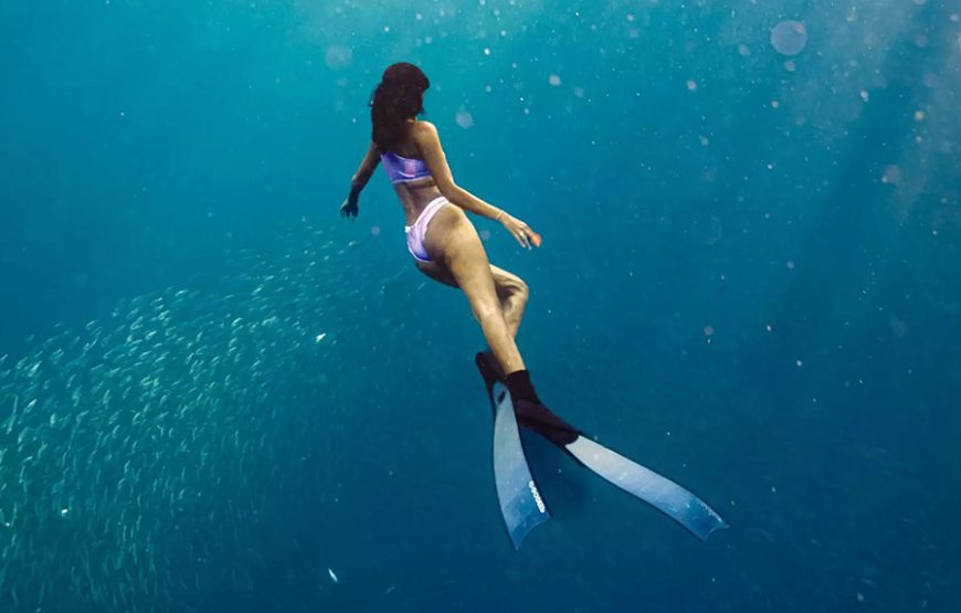 누사페니다 섬 투어｜발리 누사페니다 섬 스노클링 투어