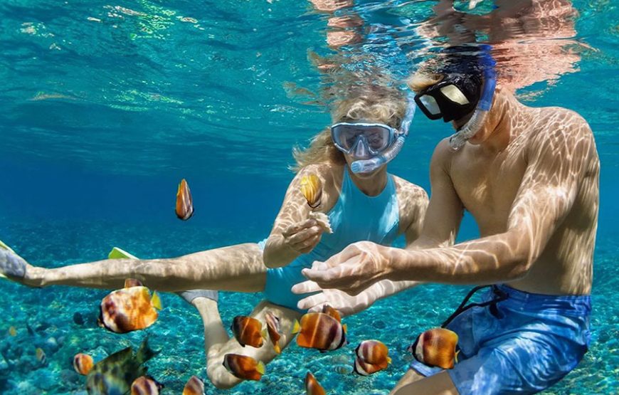 누사페니다 섬 투어｜발리 누사페니다 섬 스노클링 투어