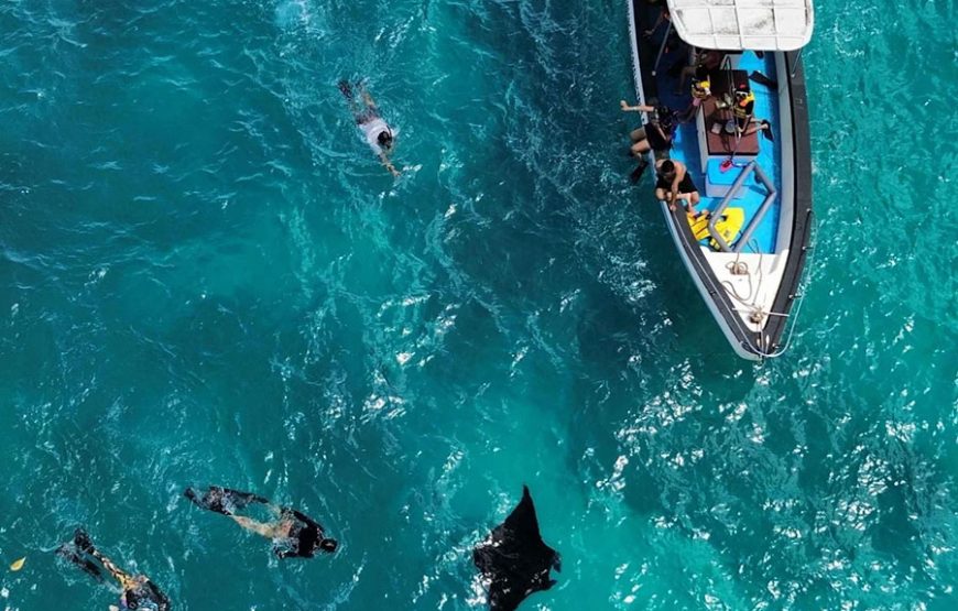 누사페니다 섬 투어｜발리 누사페니다 섬 스노클링 투어