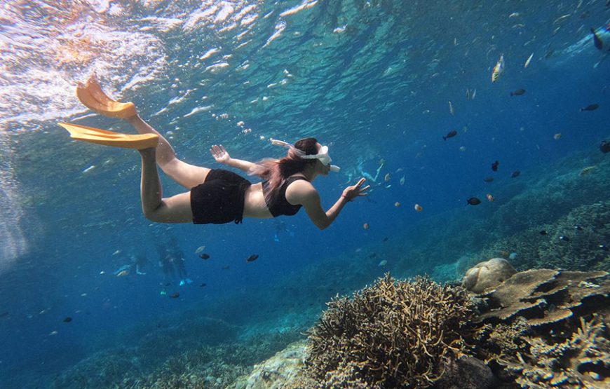 누사페니다 섬 투어｜발리 누사페니다 섬 스노클링 투어